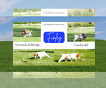 Small #14 Breeder Profile image