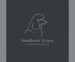 Small #1 Breeder Profile image