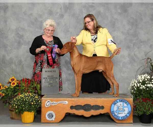 Medium Photo #6  Breeder Profile in HARLAN, IA, USA