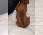 Small #44 Breeder Profile image