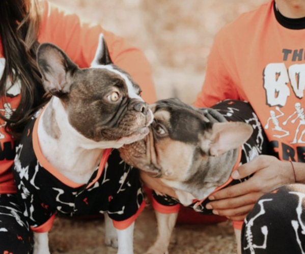 Medium Photo #1  Breeder Profile in MODESTO, CA, USA