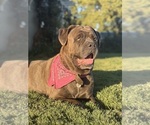Small breeder photo