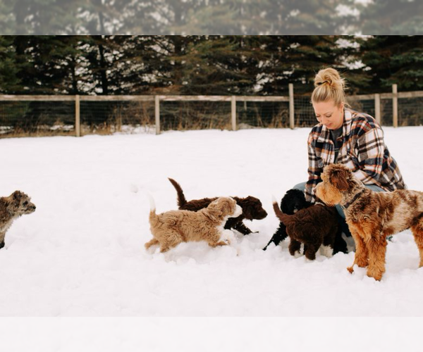 Medium Photo #5  Breeder Profile in SHIOCTON, WI, USA