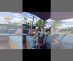 Small #10 Breeder Profile image