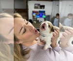 Small #15 Breeder Profile image