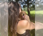 Small #33 Breeder Profile image