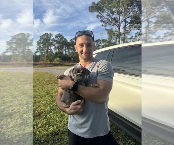 Medium Photo #4  Breeder Profile in LEHIGH ACRES, FL, USA