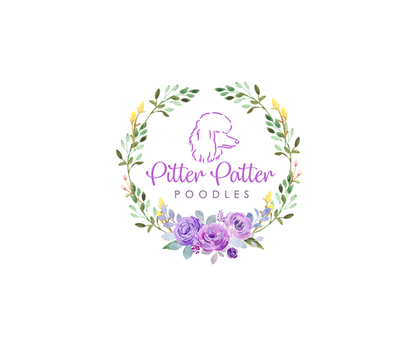 Medium Photo #1  Breeder Profile in ARLINGTON, WA, USA