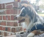 Small #12 Breeder Profile image