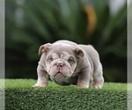Small #11 Breeder Profile image