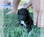 Small #5 Breeder Profile image