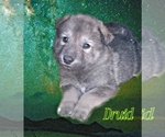 Small #7 Breeder Profile image