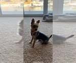 Small #20 Breeder Profile image