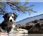 Small #34 Breeder Profile image