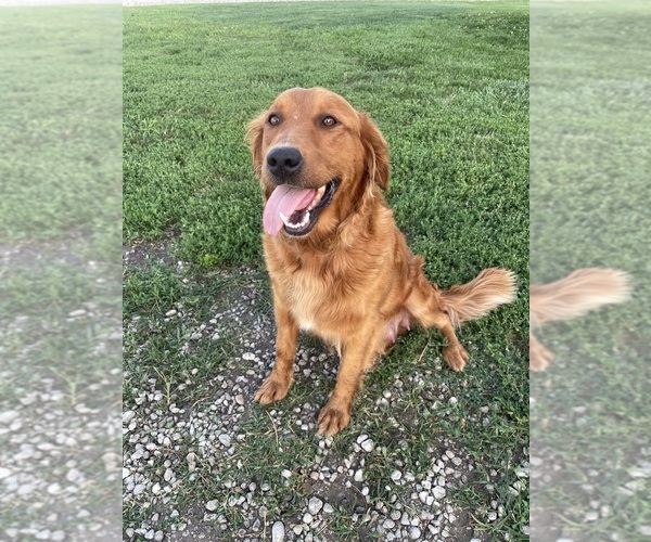 Medium Photo #7  Breeder Profile in SABETHA, KS, USA