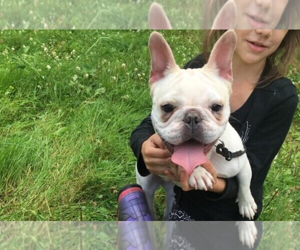 Medium Photo #1  Breeder Profile in WASILLA, AK, USA