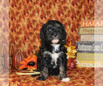 Small #18 Breeder Profile image