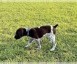 Small #30 Breeder Profile image