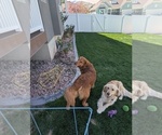 Small #16 Breeder Profile image