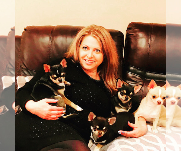 Medium Photo #1  Breeder Profile in BUFFALO GROVE, IL, USA