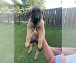 Small #14 Breeder Profile image