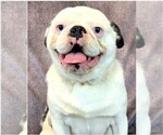 Small #14 Breeder Profile image