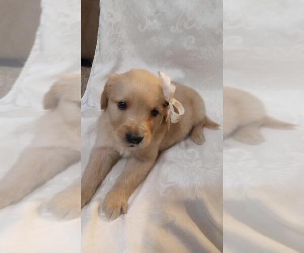 Medium Photo #11  Breeder Profile in BROOKSVILLE, KY, USA