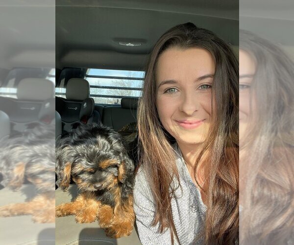 Medium Photo #1  Breeder Profile in LAWRENCEBURG, IN, USA
