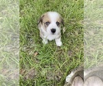 Small #7 Breeder Profile image