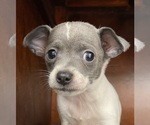 Small #21 Breeder Profile image