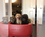 Small #7 Breeder Profile image