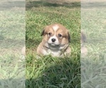 Small #16 Breeder Profile image
