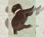 Small #21 Breeder Profile image