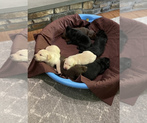 Medium Photo #1  Breeder Profile in FARMVILLE, VA, USA