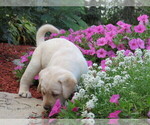 Small #6 Breeder Profile image