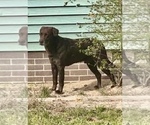Small #5 Breeder Profile image