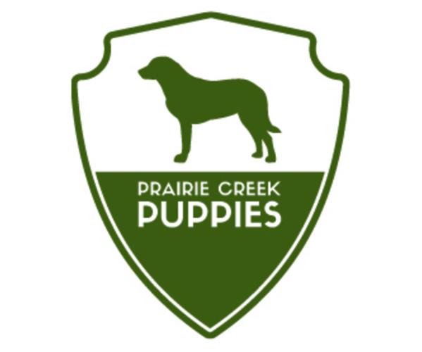 Medium Photo #1  Breeder Profile in HUDSONVILLE, MI, USA