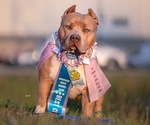 Small #4 Breeder Profile image