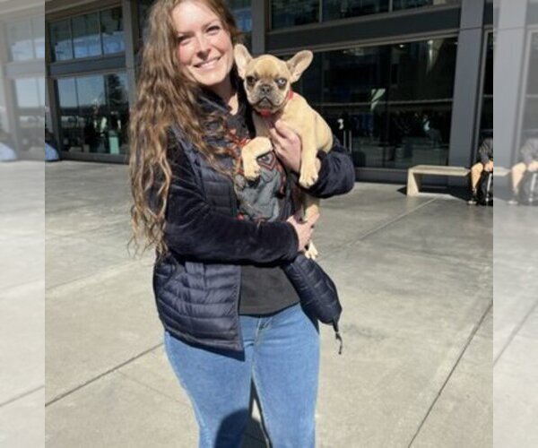 Medium Photo #8  Breeder Profile in SACRAMENTO, CA, USA