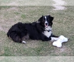 Small #83 Breeder Profile image