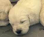 Small #7 Breeder Profile image