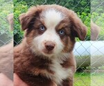 Small #29 Breeder Profile image