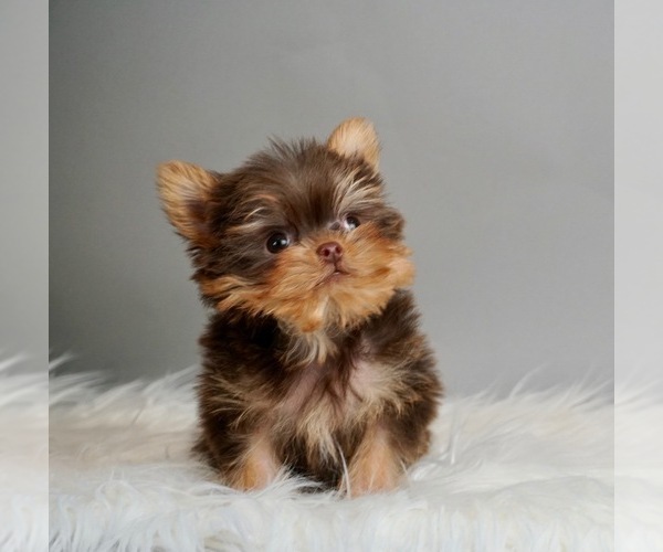 Medium Photo #2  Breeder Profile in WARSAW, IN, USA