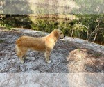 Small #2 Breeder Profile image