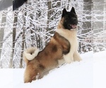 Small #4 Breeder Profile image