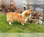 Small #3 Breeder Profile image