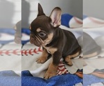 Small #1 Breeder Profile image