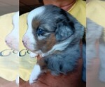Small #36 Breeder Profile image