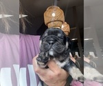 Small #5 Breeder Profile image