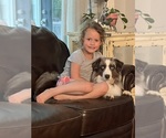 Small #6 Breeder Profile image
